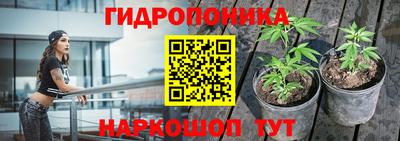 спайс Будённовск