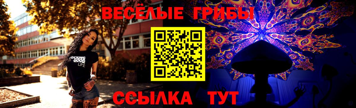 Псилоцибиновые грибы Cubensis  Вход с VPN  Алапаевск 